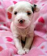 yufu-web.com Fayelyn