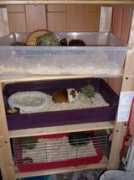 morcouni.websnadno.cz Fdgfdg