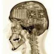 sk-gaming.com Felikz