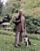 Fellowes