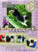 Felony