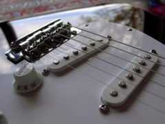 Fender