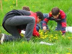 ilpendolino.org Fenderl