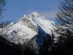 fotonatura.org Fenez