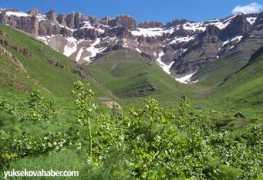 yuksekovahaber.com Ferasin