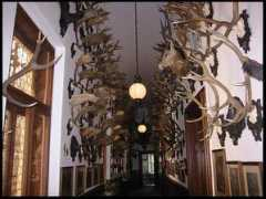 ourworldtravels.com Ferdinands