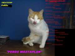 Ferds
