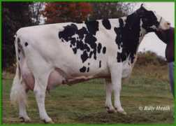 penngatefarm.com Ferggy
