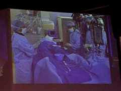 kamakuraheart.org Feridinand