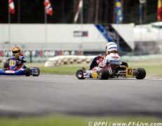 sojka2.blog.cz Fernanndo