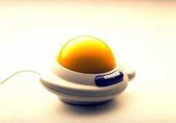 theapplecollection.com Fernd
