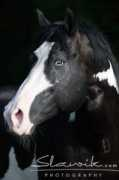 Ferria