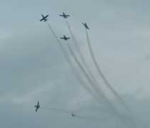 apache-roll.com Fertea