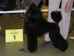 kennel-warming.com Fetterlein