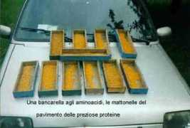 Fiatuno