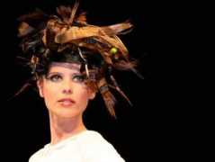 blogs.periodistadigital.com Fibell