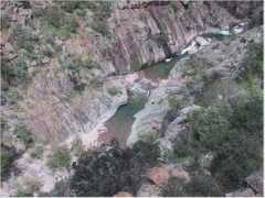 korsikaweb.de Ficarella