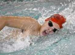 thisweeknews.com Ficarelli