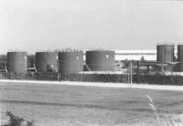 comune.piossasco.to.it Fidon