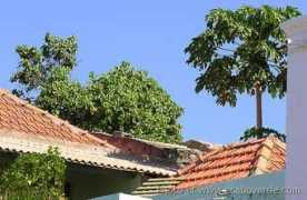 ecaboverde.com Filipe