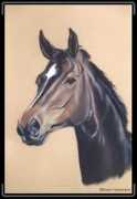 Filius