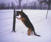 gsdwebsite.com Finestead