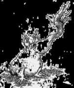 physiologus.de Fingerer