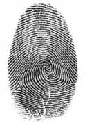 Fingerprints