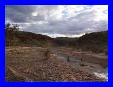 nicks-place.net Finker