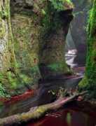 topdreamer.com Finnich