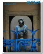 bbs.metroer.com Fiovi