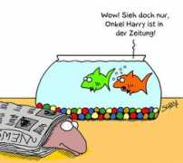 Fisch blobb The Blobfish: