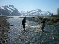 Fisheries