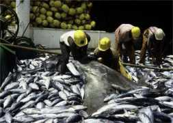 Fisheries
