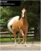 vsudvouhrebcu.blog.cz Fither