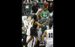 staradvertiser.com Flaisher