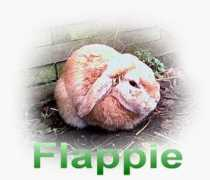members.chello.nl Flappie