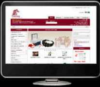 vabinfoit.com Flashh