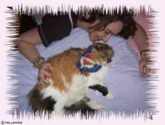 schnurrblatt.fellbande.at Flauschi