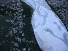 Floes