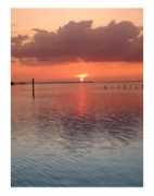 allposters.co.uk Florene