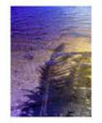 abstract-prints.com Florene