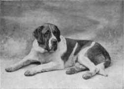 Florentius