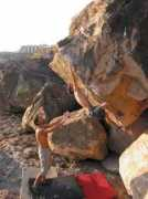 jingowobbly.com Flypig