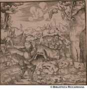 istitutodatini.it Focaia