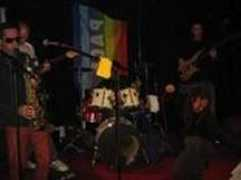 reggaecontest.com Forcati