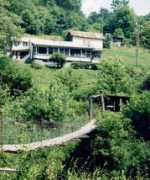 bramwellwv.com Forlines