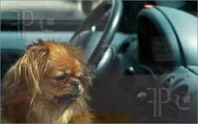 featurepics.com Forlorn