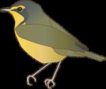 Formosus