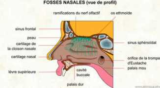 infovisual.info Fosses